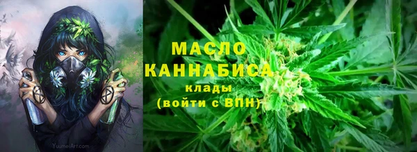 mix Богородицк