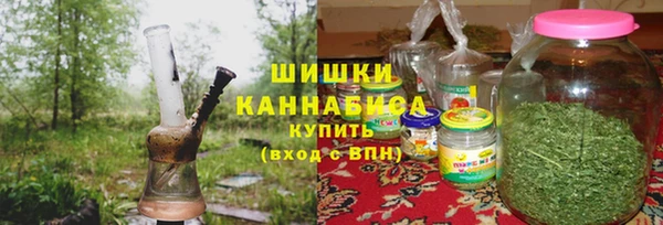 mix Богородицк